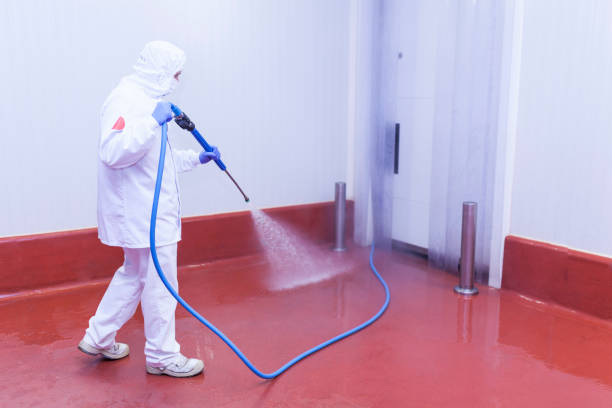 Paint Preparation in Youngsville, LA